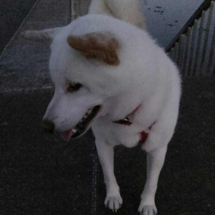 Cce7b2cb 9b24 4d97 a8d2 2e19995073e3