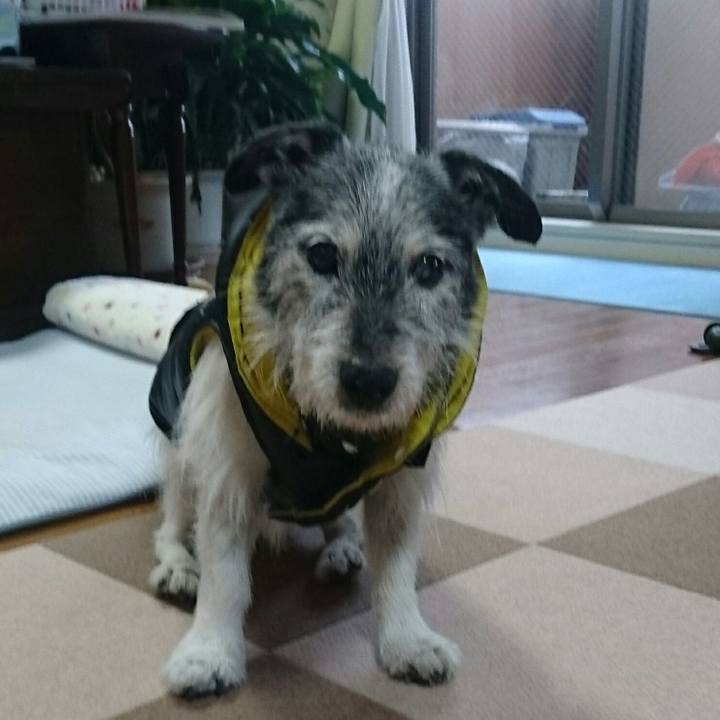 Cce7ebda fdf8 42e0 94d0 84edd90e278d