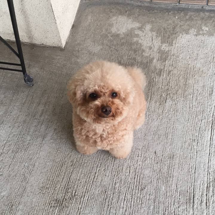 Cce7ffe4 600e 4c69 a9d4 f318215802d2