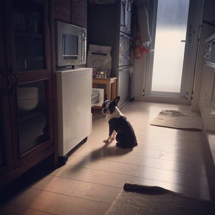 Cce85617 e8b7 406e b70c ed0d87199db3