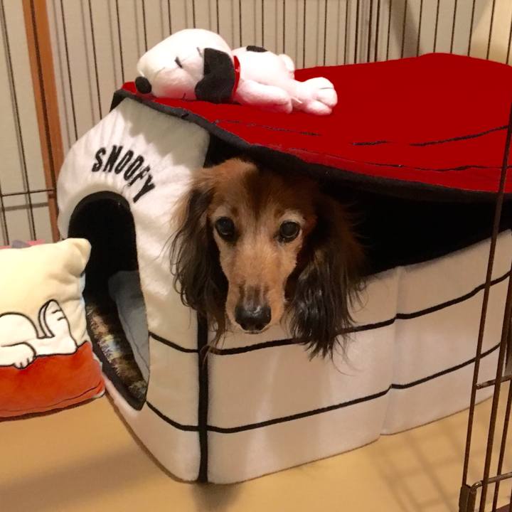 Cce8c619 3157 4898 a36d 4524051a9aa0