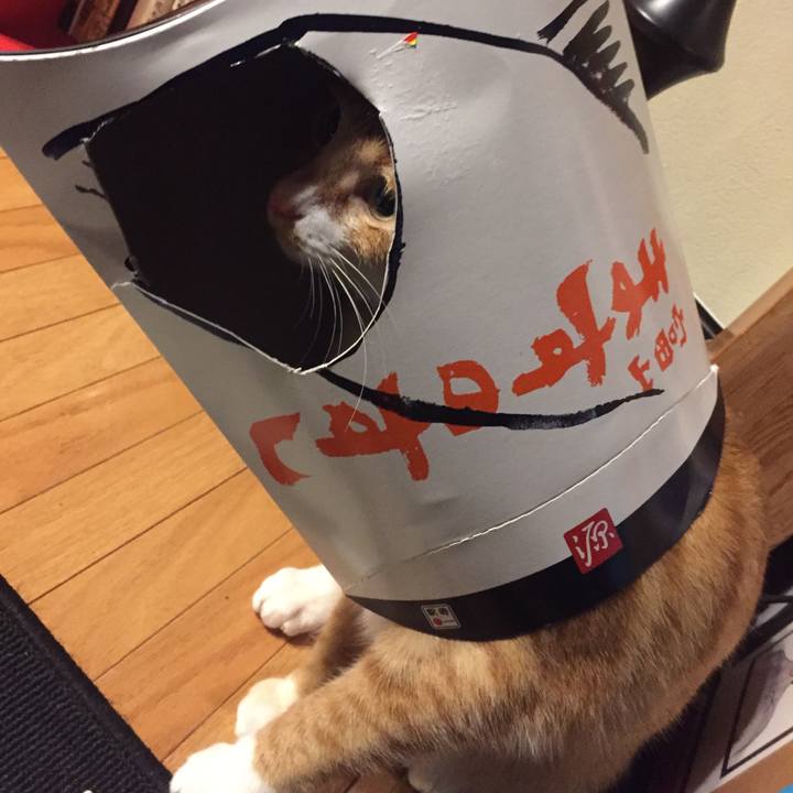 Cce8f593 1159 4667 bb46 9e22bc0daade