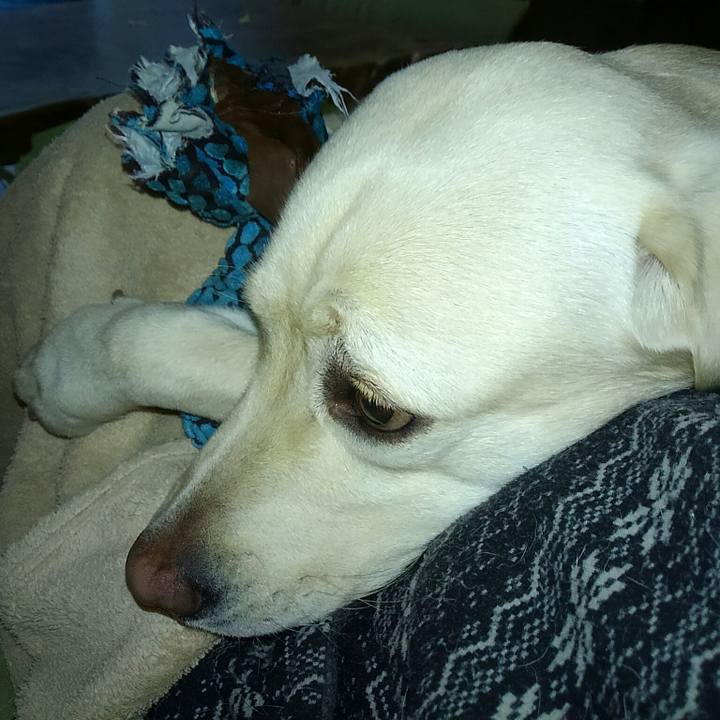 Cce907ff 2e5b 4e07 a33e 16771019e04e