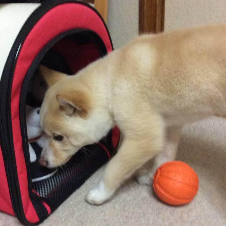 Ccea0e1a 4b1a 4e8f b989 86c37a7089b5