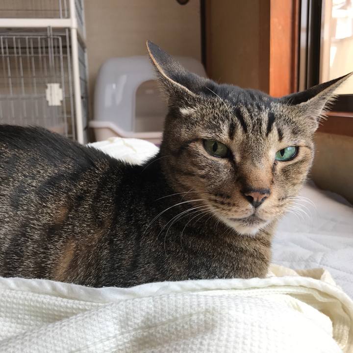 Ccea7e57 ea5c 44f2 8d40 cd3dc6fab1b6