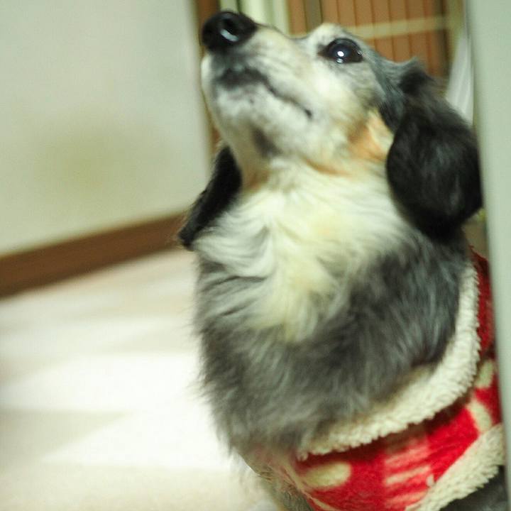 Cceaa967 b595 4ce6 8939 d02a9cd4a92d