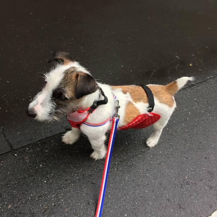 Cceb4728 9290 4993 ada9 f7b7d1b303f8