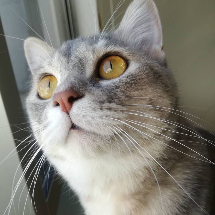 Cceb9b0c a175 442d 8206 d1f78ba7c041