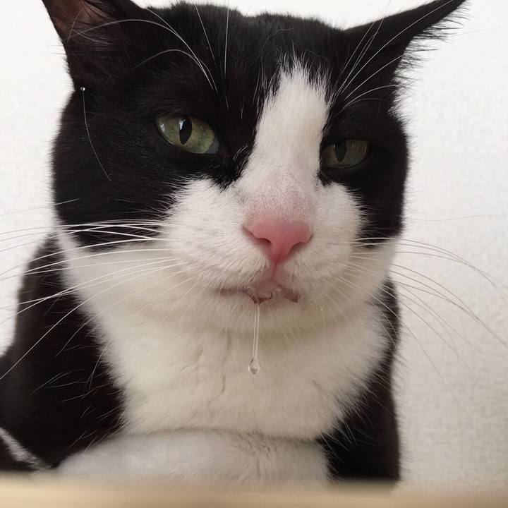 Ccec8c4d 41da 40be 9e6d 5aa3bca960c0