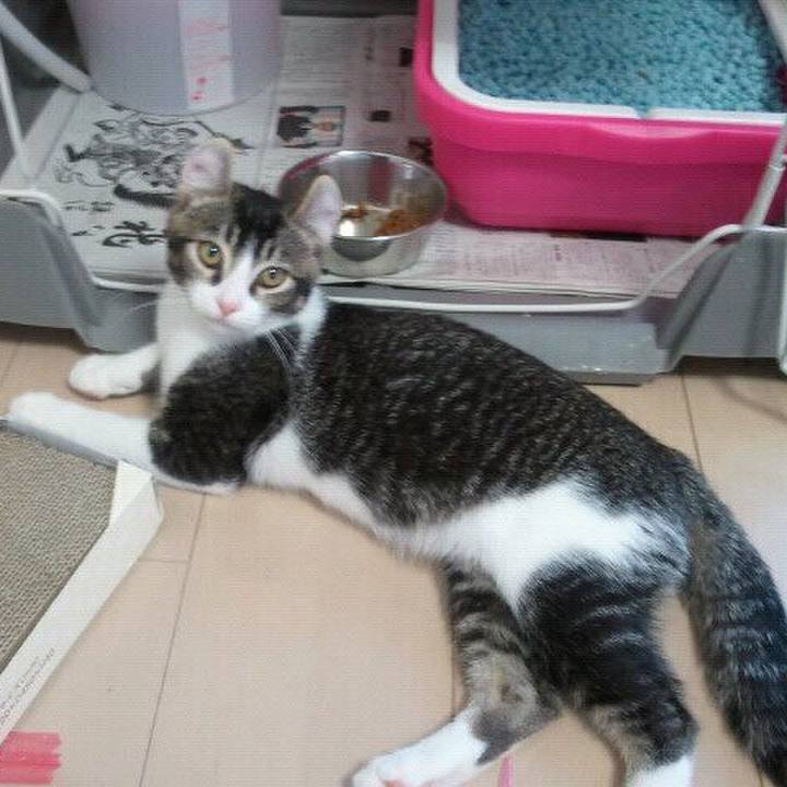 Ccece448 2298 440d 8674 24571324c130