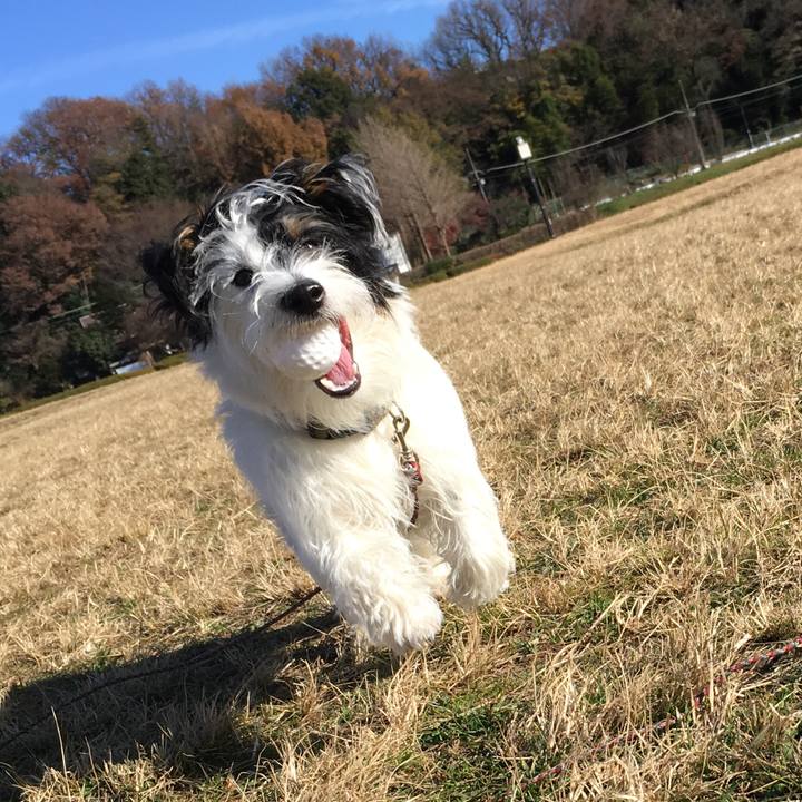 Cced17b3 a3c7 4063 84ea c35b51e3b880