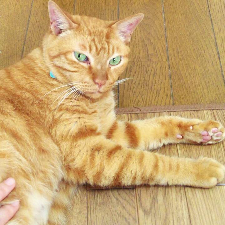 Cced3dfa 24d0 46b3 aa75 b0cc95dfde25