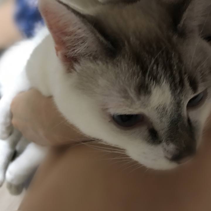 Cced4dcd 909a 451d bfcd 45885a87290a