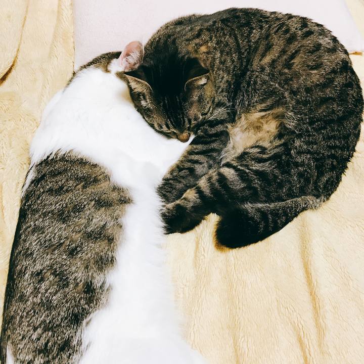 Cced9fa6 d2a8 4a07 aba9 fdc59ea7e676