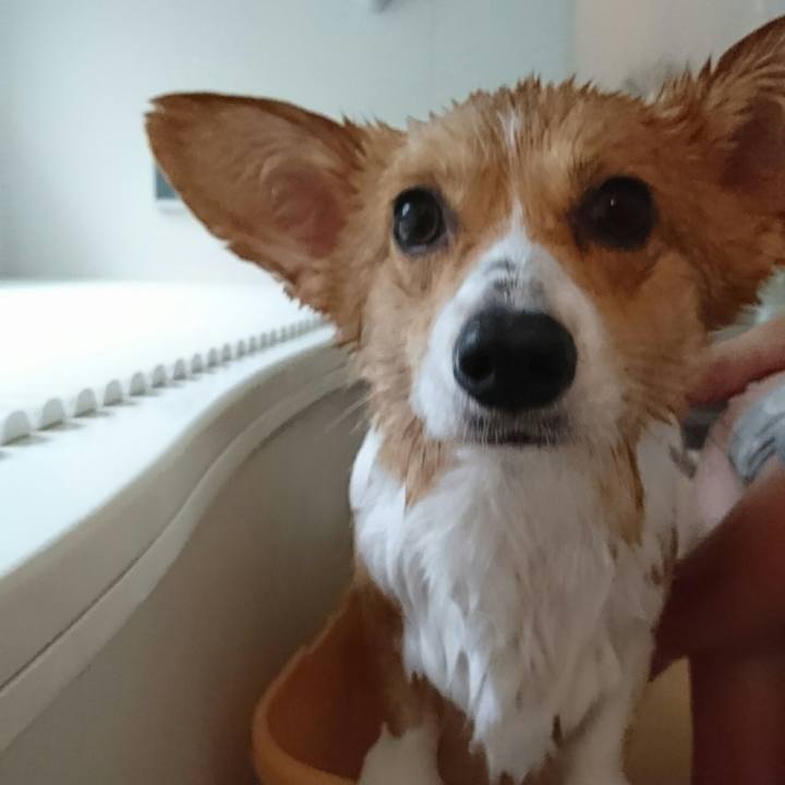 Ccee2fa1 8858 4e47 a2b8 9aa86ec0cabc