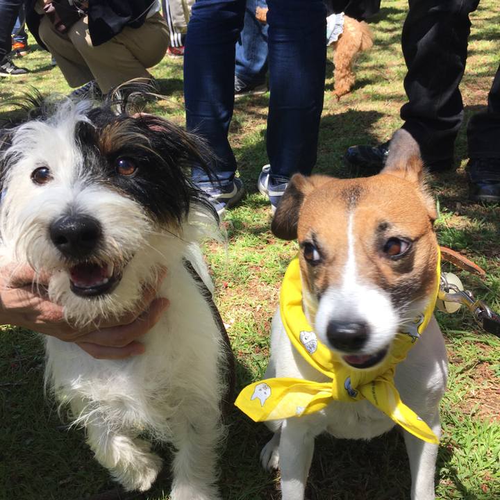 Cceea433 fd1c 4d91 b733 2c3fca78f044