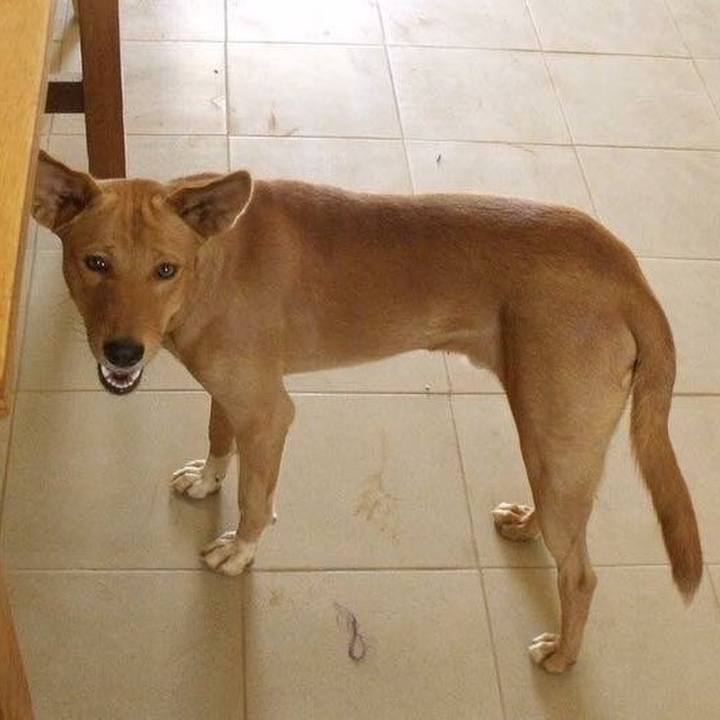 Cceebad1 b2c5 446c 9167 34a6d4fc2782