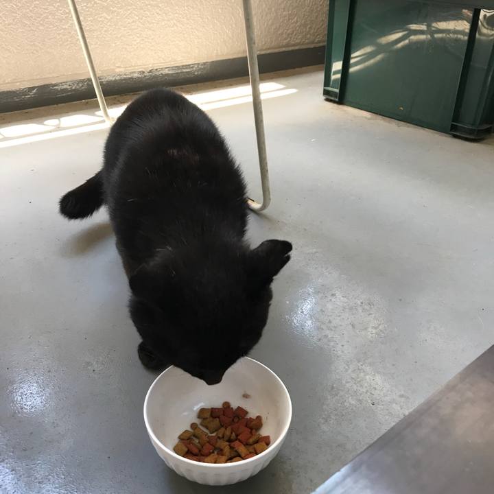 Ccefc38c 343c 4ae6 8480 23a57ab0f1cd