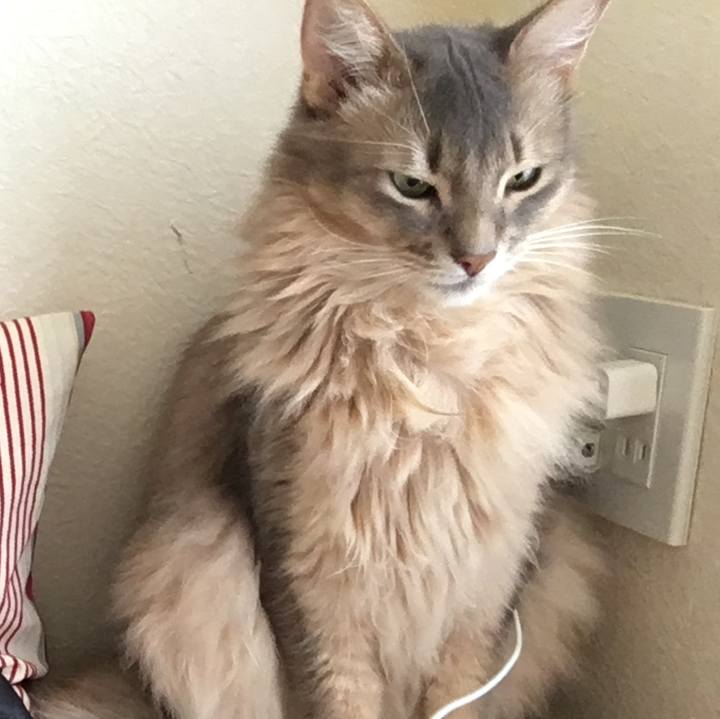 Ccf015d1 eb62 4a80 a9e9 49038cf16a48