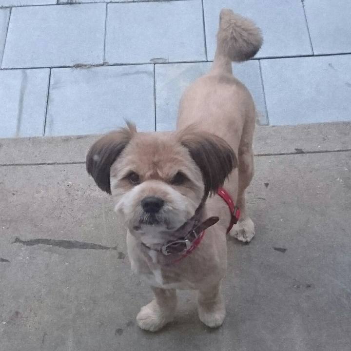 Ccf0286d ac52 4032 a96a 221cd7b241b4