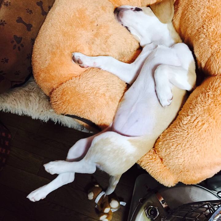 Ccf08a5b 617a 462a b96a cd69c5fd3511