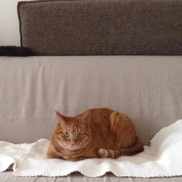 Ccf09052 59b3 48a7 a434 c8d74768ca36