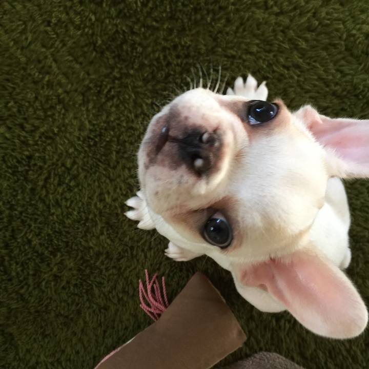 Ccf0c8c0 73fa 4e35 848d a8c62c6221bd