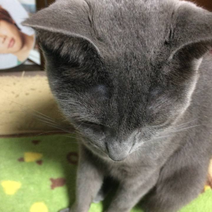 Ccf13712 9988 44ac b3aa 252960c246c7