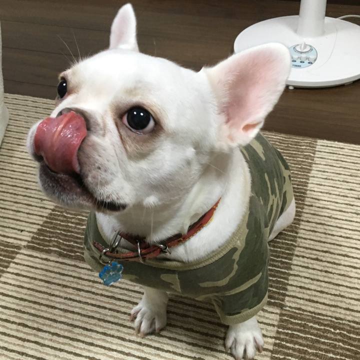 Ccf14bcc 9952 4339 986d 9876606bdeda