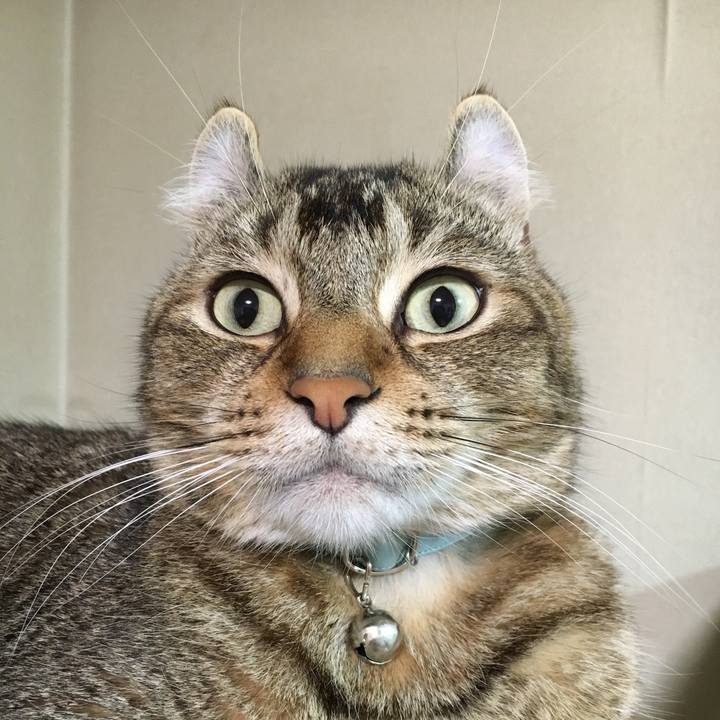 Ccf156e8 5cd9 4c66 8c8f b180f1209051