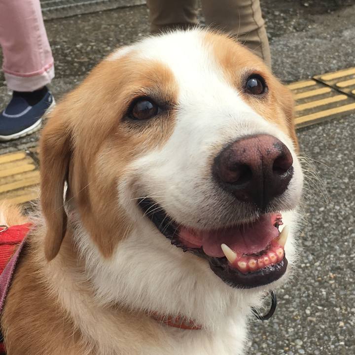 Ccf2194c cc1d 4703 9356 98bab6004dad