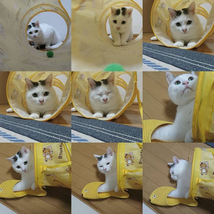 Ccf21ffb 8647 4af2 8ea3 2114184b24d0