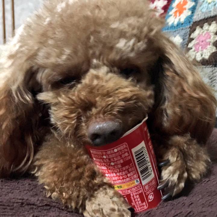 Ccf2b186 9409 44d4 9d4a 9e4737e912f8