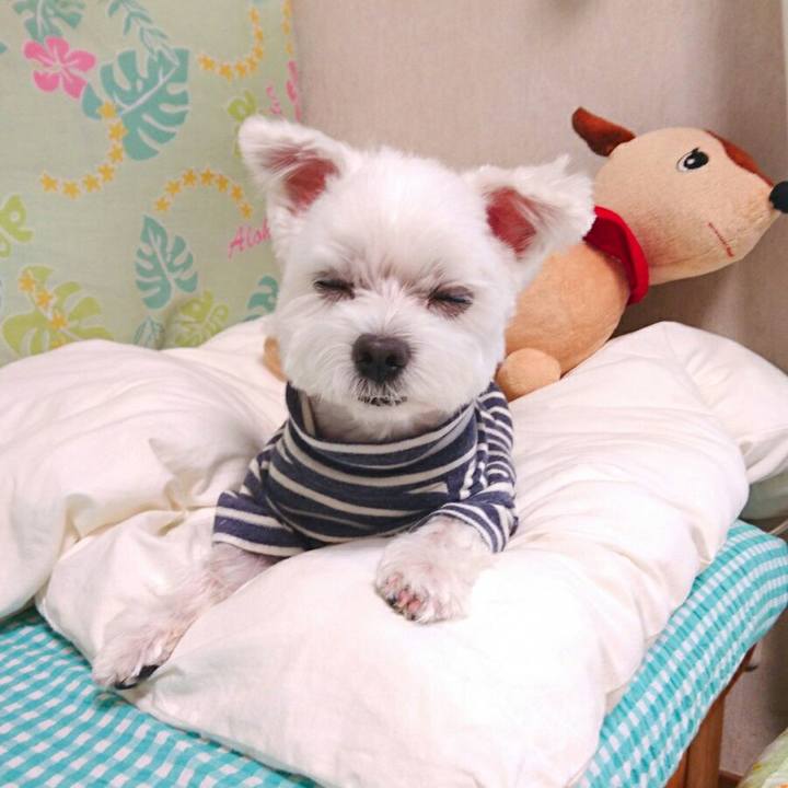 Ccf33ede e6f0 4e82 b625 6ae067954196