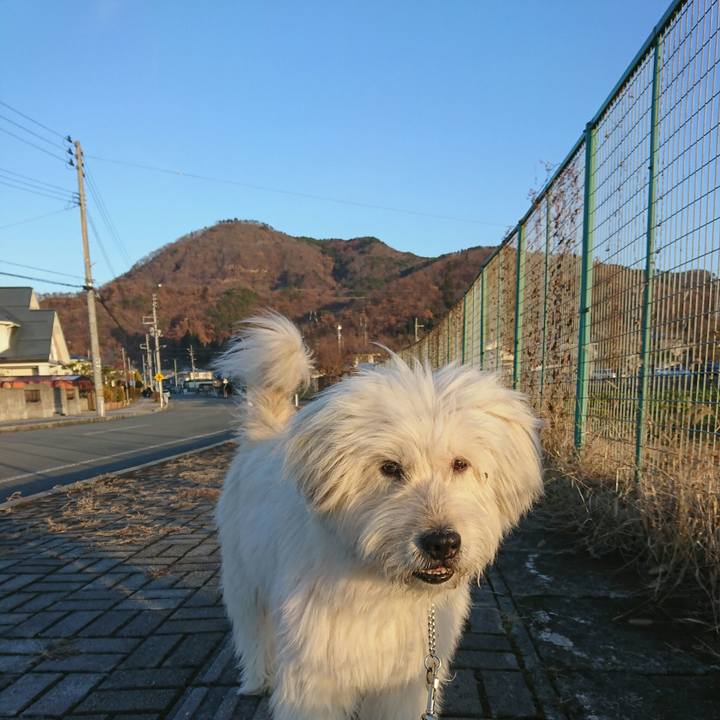 Ccf37935 4d88 45b5 a6d7 ddd1d4f50a59