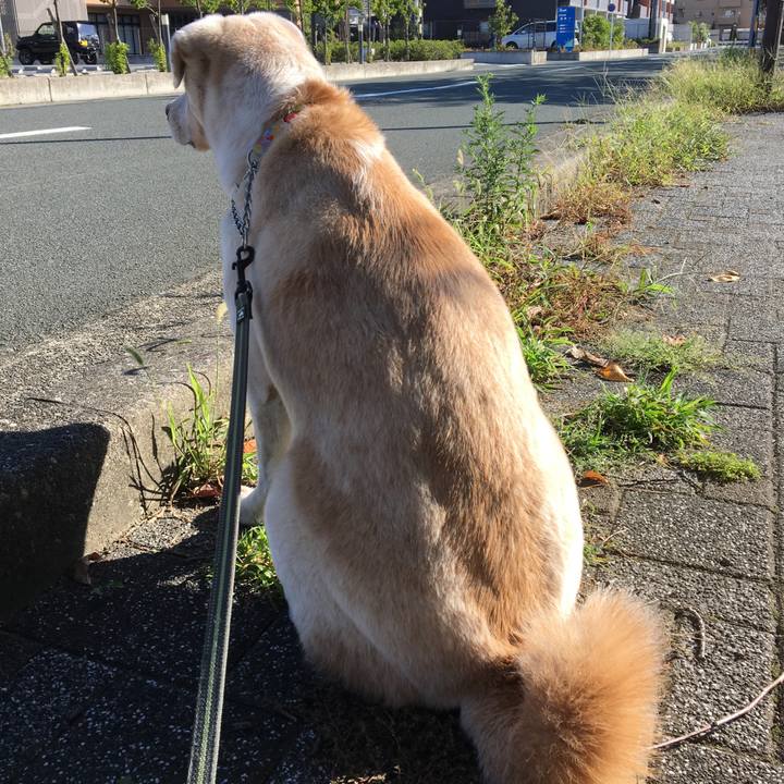 Ccf37fe5 715e 454c be83 f872b9659591