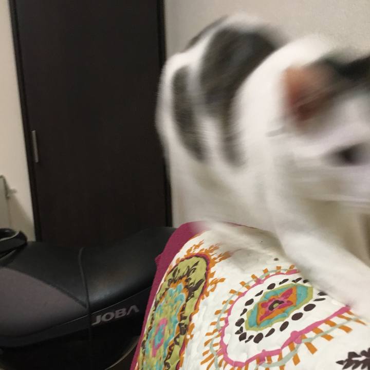 Ccf3b71e c52a 4c52 bf5b 0c4a77e02da2