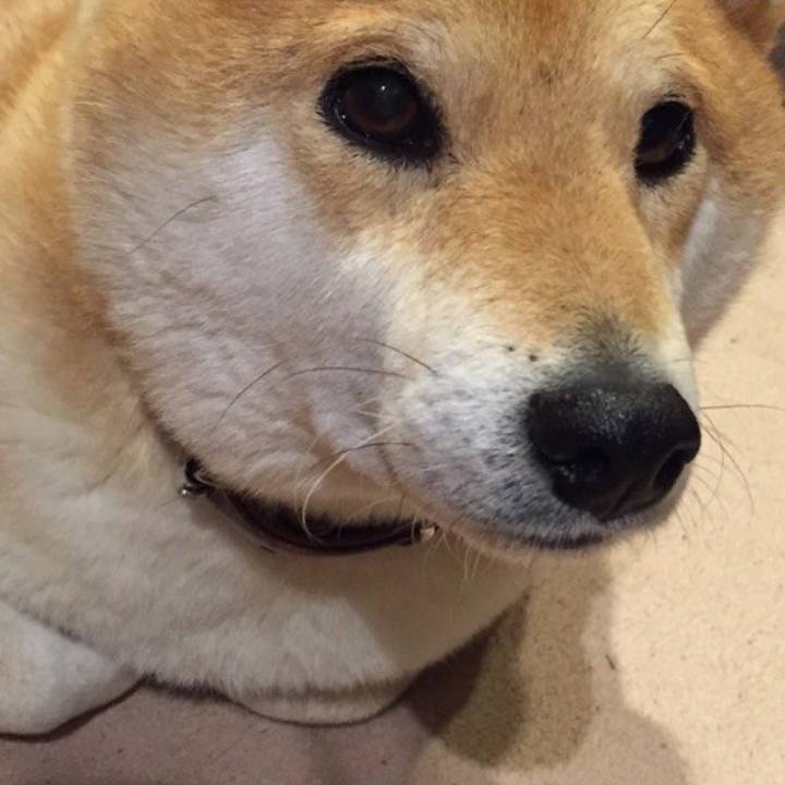 Ccf3f34a 44a5 43b6 8f3e 55b36af36b65