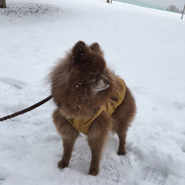 Ccf3f781 21d3 4bad 8858 a446f2278e5d