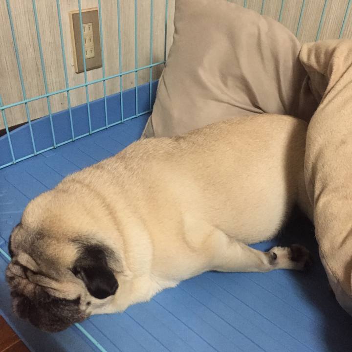 Ccf5dffa 2149 4d70 8f59 fb7273e21834