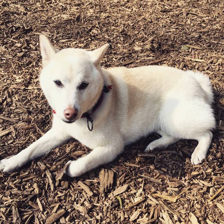 Ccf5e1fd 2246 4547 a24f 72a1de9e9017