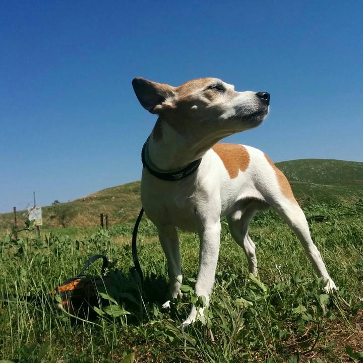 Ccf61912 b8d7 4fbb 9878 f2e6a9b44067