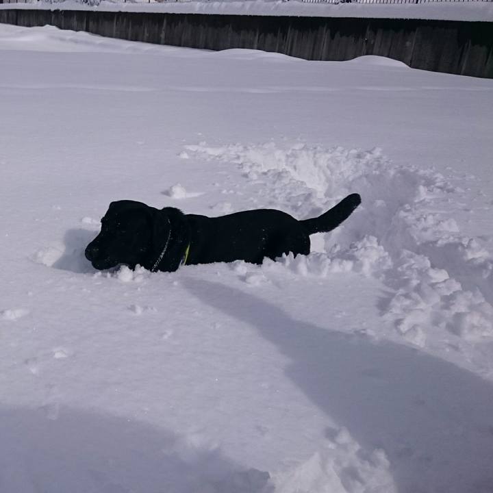 Ccf6682b 056d 493d b49e 404bdb19db74