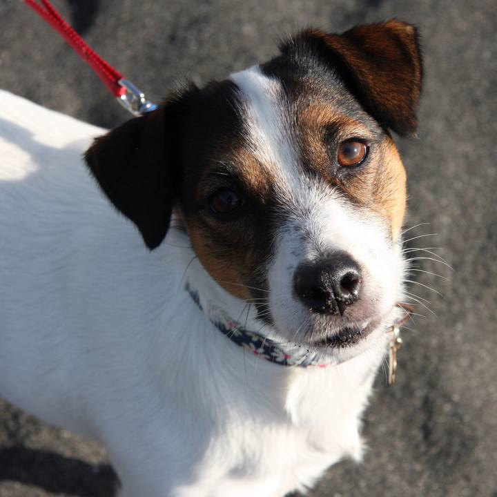 Ccf6c0b5 593b 4206 94cf 604085faf738