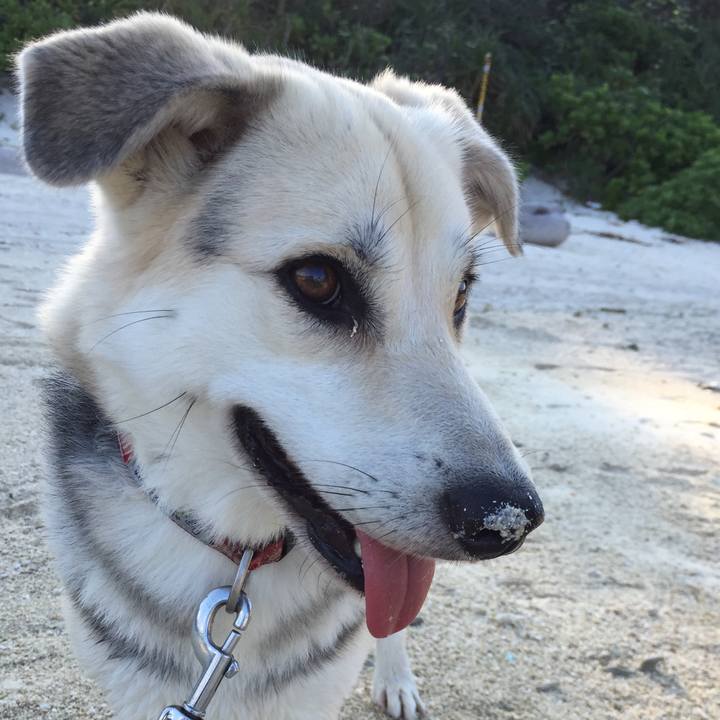 Ccf6f666 79de 4119 8478 8613464a8ada