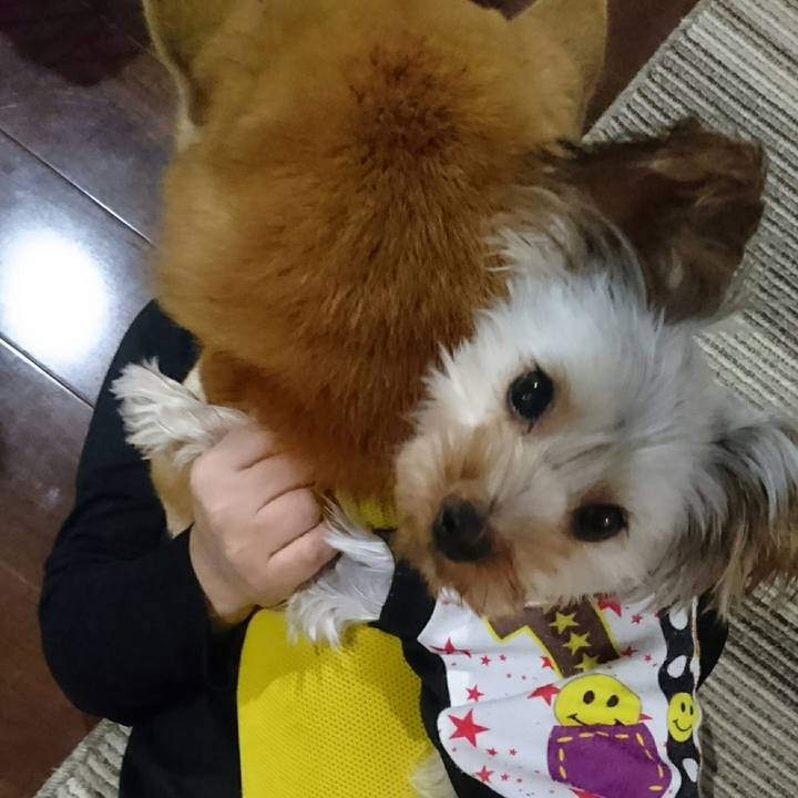 Ccf6fa13 0a5c 4e78 a9c7 94b1e72b5210