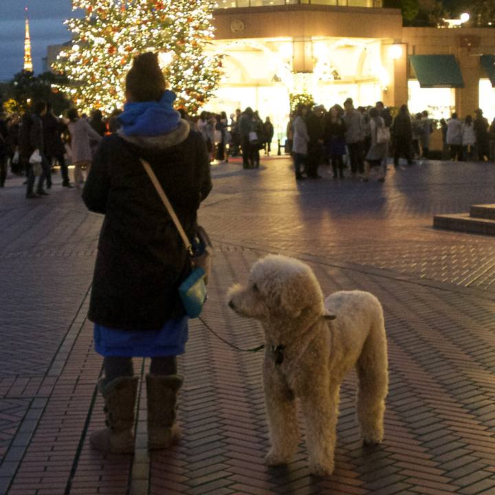 Ccf73bcd 5ac2 4537 818b 51f4f49a442a