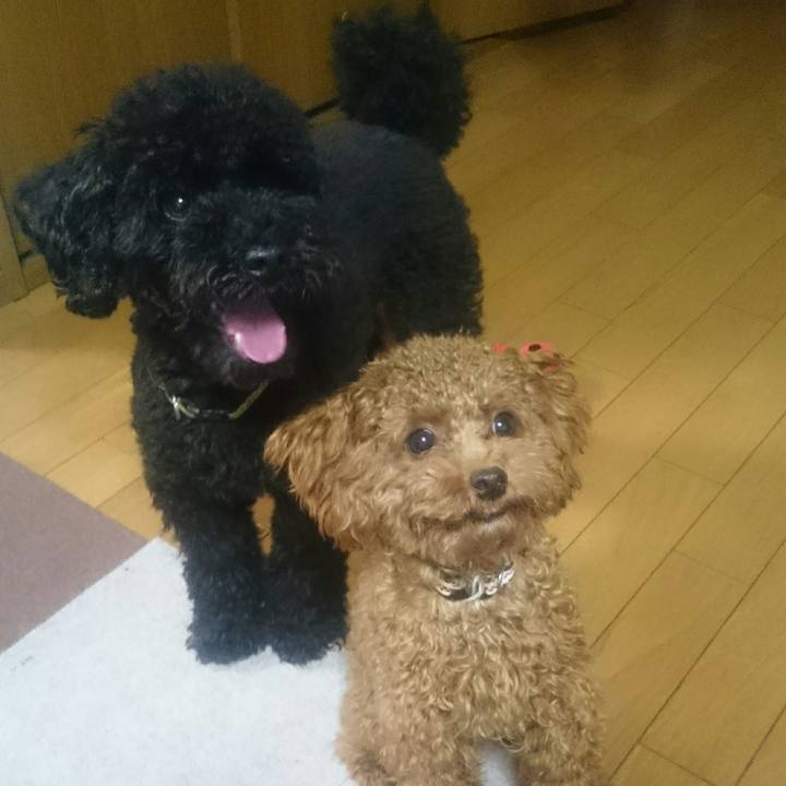 Ccf758bd e3f8 41a1 842c b7ebdb15bc50