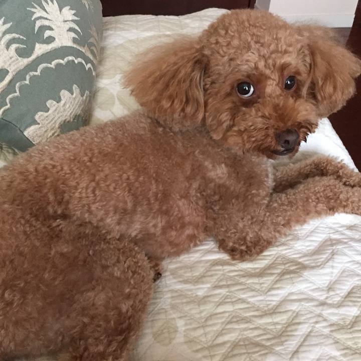 Ccf7d18e 7e48 44df aa21 0845ae83ae0e