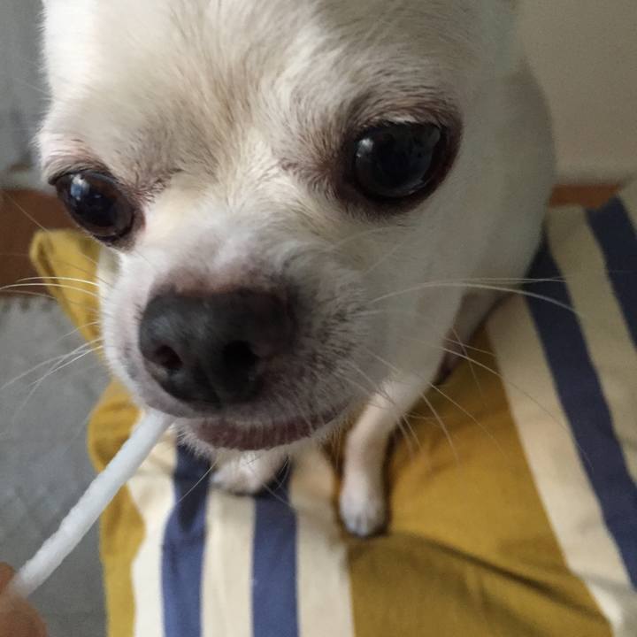 Ccf7fe03 6599 4256 9e66 4d5f7b8f2b51